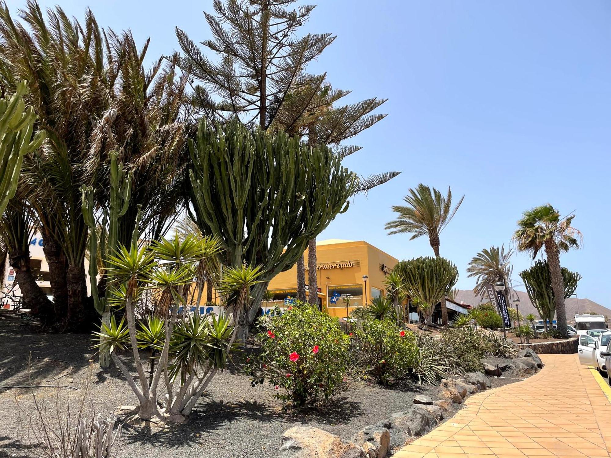 Casa Relax Papagayo Corralejo Irent Fuerteventura Apartment Ngoại thất bức ảnh